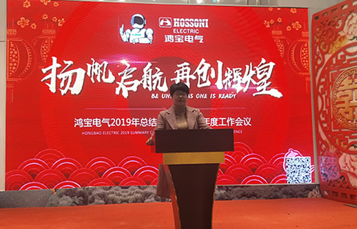 鴻寶集團(tuán)2019年總結(jié)表彰大會(huì)暨2020年度工作會(huì)議隆重召開